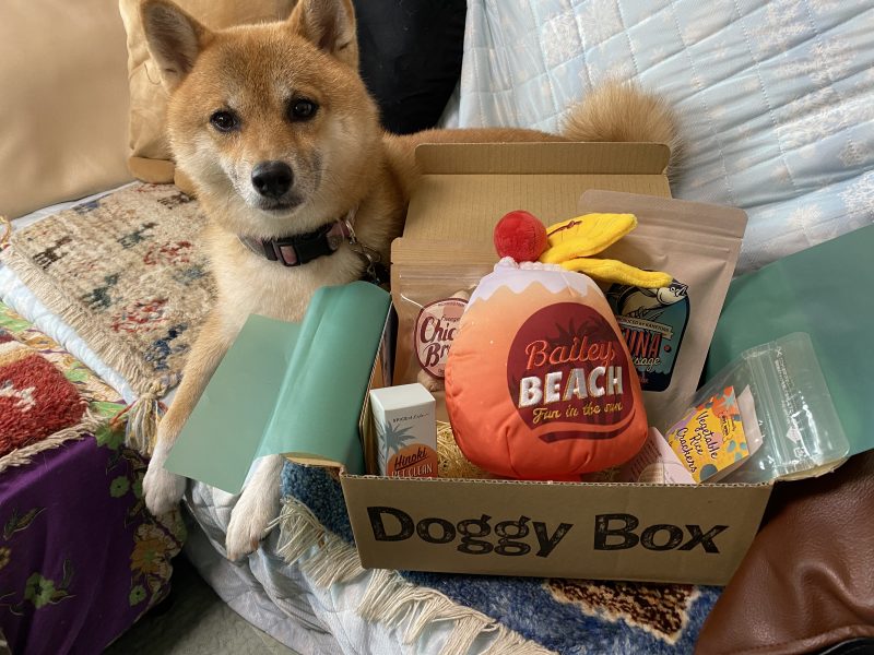 犬 おやつ ママクック ドギーボックス - ペットフード